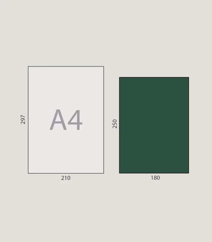 Leksikon Dimenzije